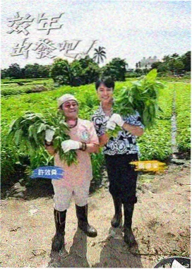 资讯配图：四阶测评补齐公告的题量分布示意